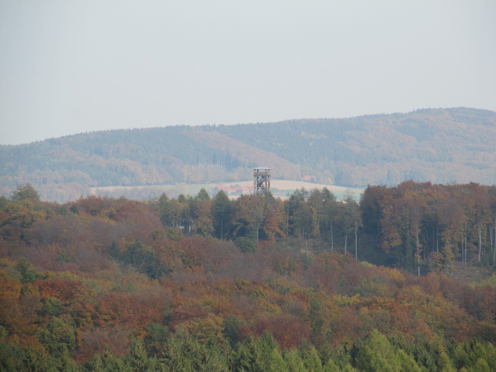 Bauernhof-Café