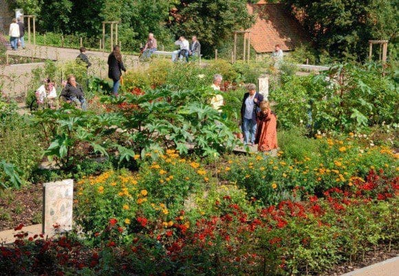 Efeu und Seifenkraut: Im Dalheimer Klostergarten wachsen noch heute Pflanzen, die als Seifenersatz genutzt wurden. Foto: LWL/Thünker