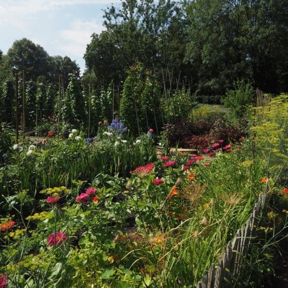 Sommerlust im Küchengarten Ippenburg