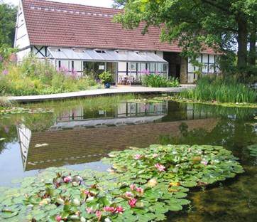 Teichbau