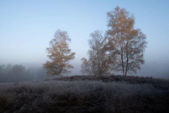 Winterspaziergänge machen Spaß