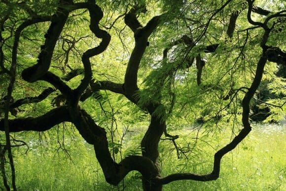 Fotos aus dem Botanischen Garten