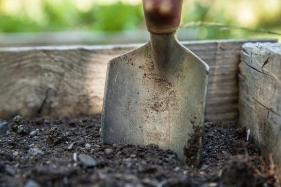 Blumenmeer - Ideen für die Gartengestaltung