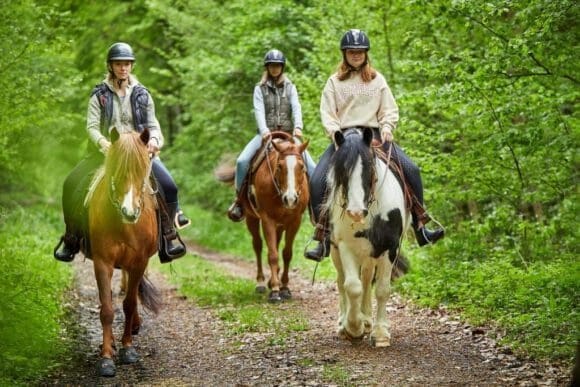 Münsterland-Ritt durch den Naturpark Hohe Mark