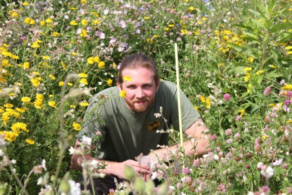 Doktorand Simon Blümel arbeitet am Forschungsprojekt „Attraktivität von Blühstreifen für Honigbiene, Wildbienen und Nützlinge landwirtschaftlicher Kulturpflanzen“ - Foto FH Südwestfalen