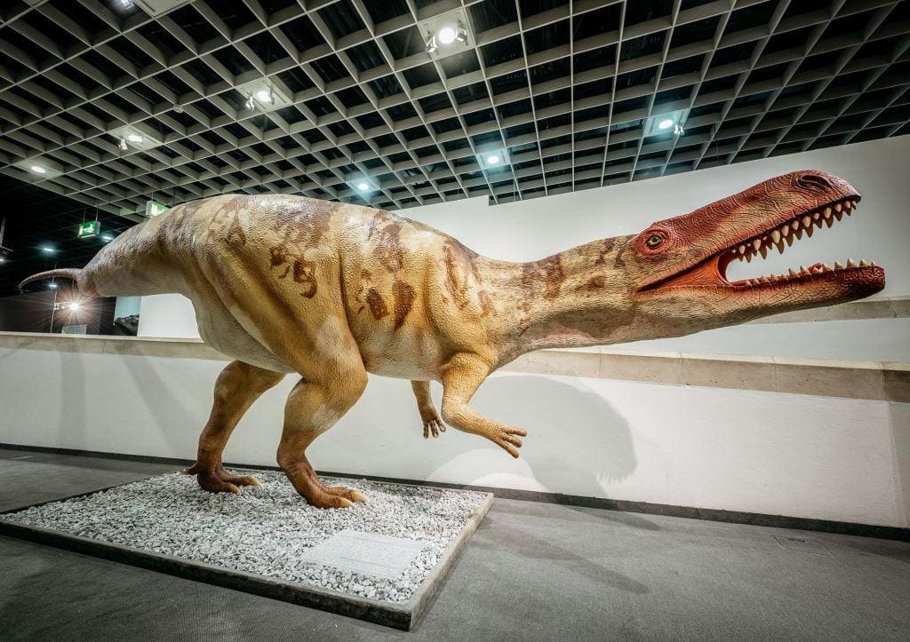 Raubsaurier im LWL-Museum für Naturkunde