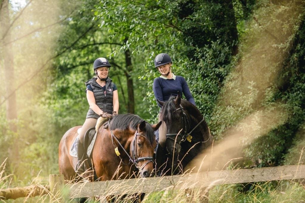 Übernachtszahlen in diesem Sommer im Münsterland