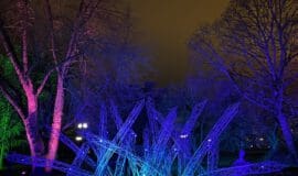 Leuchtet bis zum 16. Januar: Der Westfalenpark