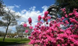 Spaziergang durch die aufblühende Gartenschau