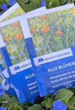 Blumensamen gratis gibt es im Märkischen Kreishaus. Interessierte können ab dem 4. April ein „Samentütchen“ abholen - Foto Sandra Jurek / Märkischer Kreis