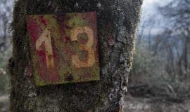 Aberglaube beschwört beim Spiel das Glück