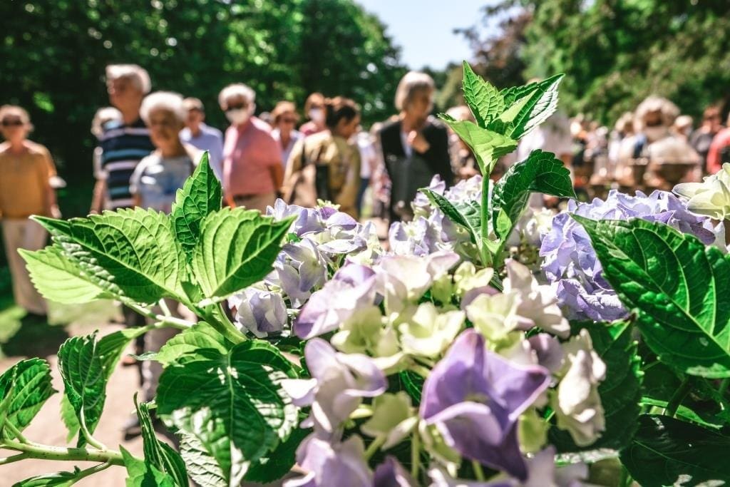 Gartenträume werden auf Burg Hülshoff wahr