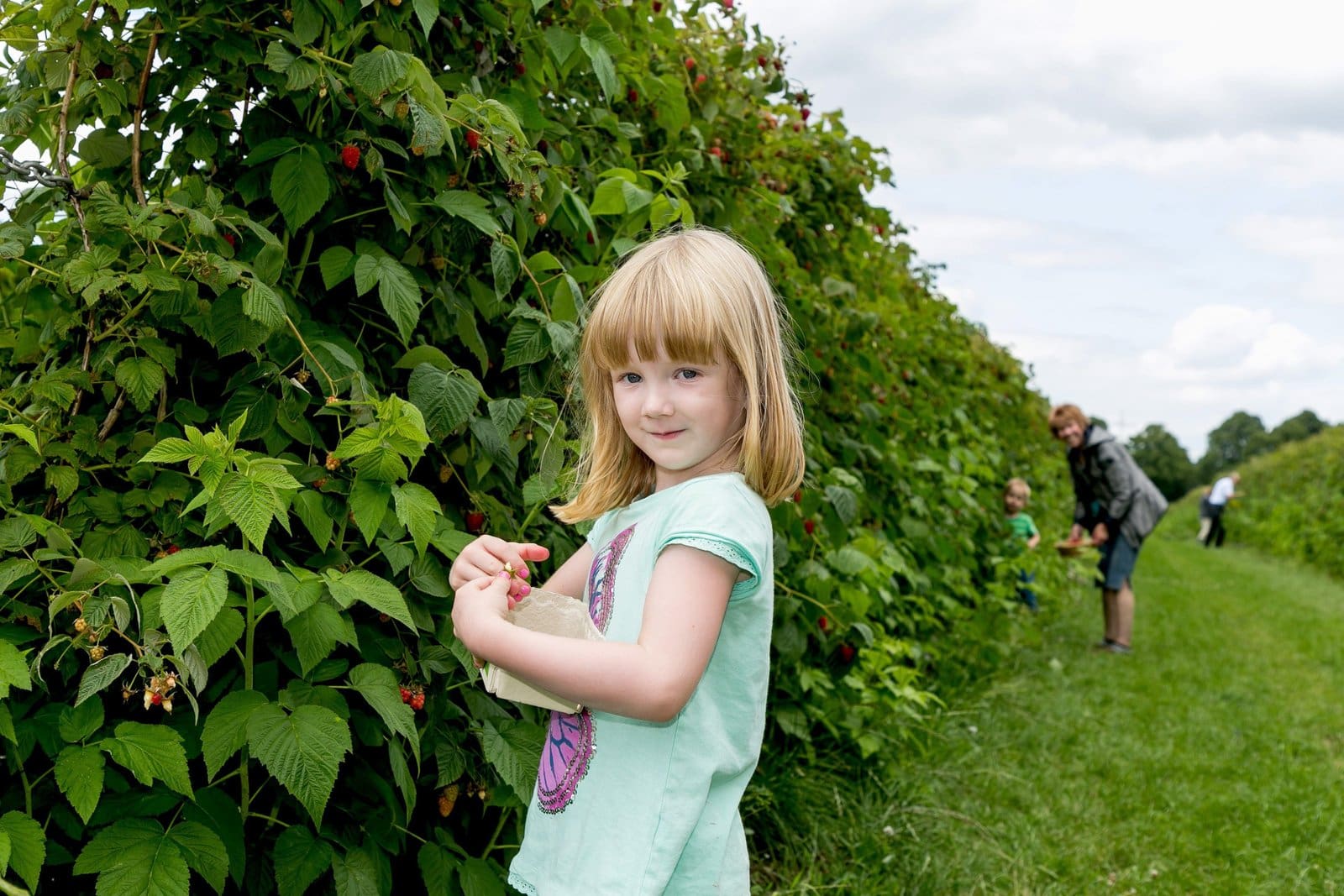 Himbeeren essen