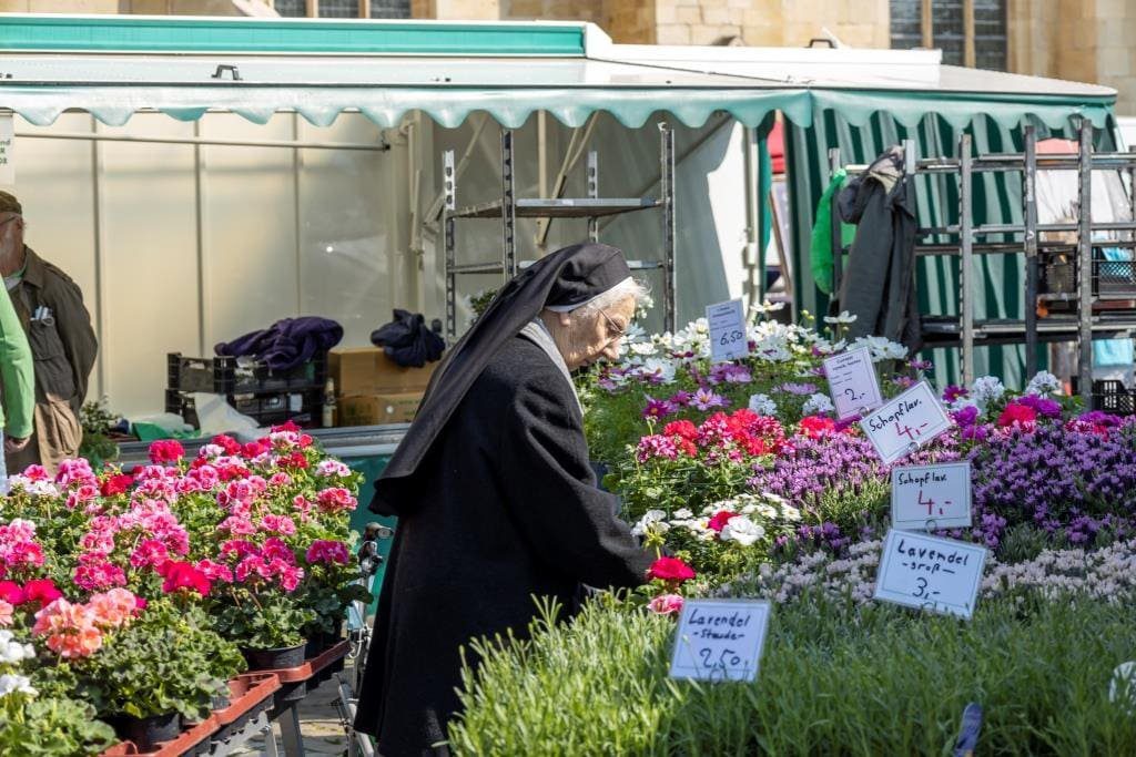 Wochenmarkt im Schatten des Doms