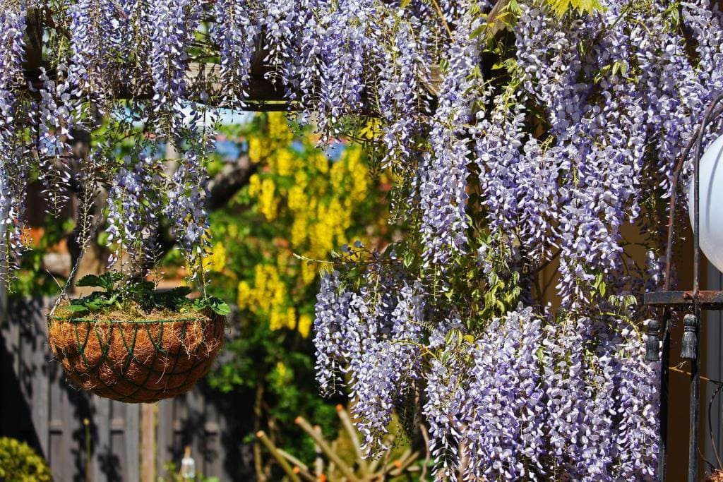 Ungestörtes Gartenparadies - Ideen und Tipps