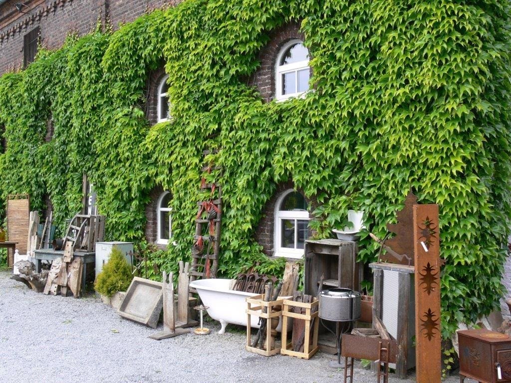 Erntedankfest auf Hof Sümmermann in Fröndenberg