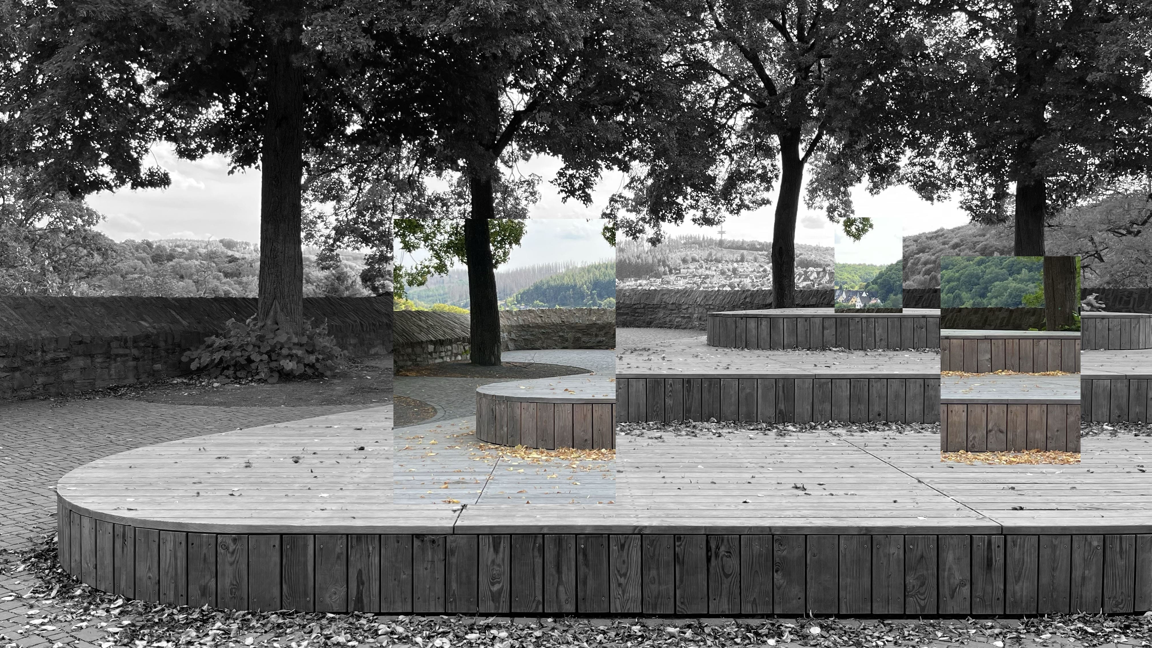 Im Siegener Schlosspark, Sitzplattform in der Nähe des Spielplatzes, findet am 30. Sptember 2022 von 16 bis 17 Uhr die Performance "Waiting for a yawn" (Warten auf ein Gähnen) statt - Foto Kunstverein Siegen