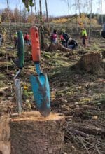 Die Stadt Arnsberg setzt die Aktion „Arnsberg forstet auf – Bäume pflanzen für die Zukunft“ fort und hofft auf die Unterstützung ihrer Bürgerinnen und Bürger - Foto Stadt Arnsberg