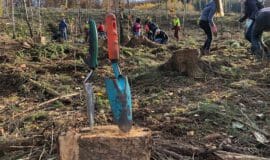 Die Stadt Arnsberg setzt die Aktion „Arnsberg forstet auf – Bäume pflanzen für die Zukunft“ fort und hofft auf die Unterstützung ihrer Bürgerinnen und Bürger - Foto Stadt Arnsberg