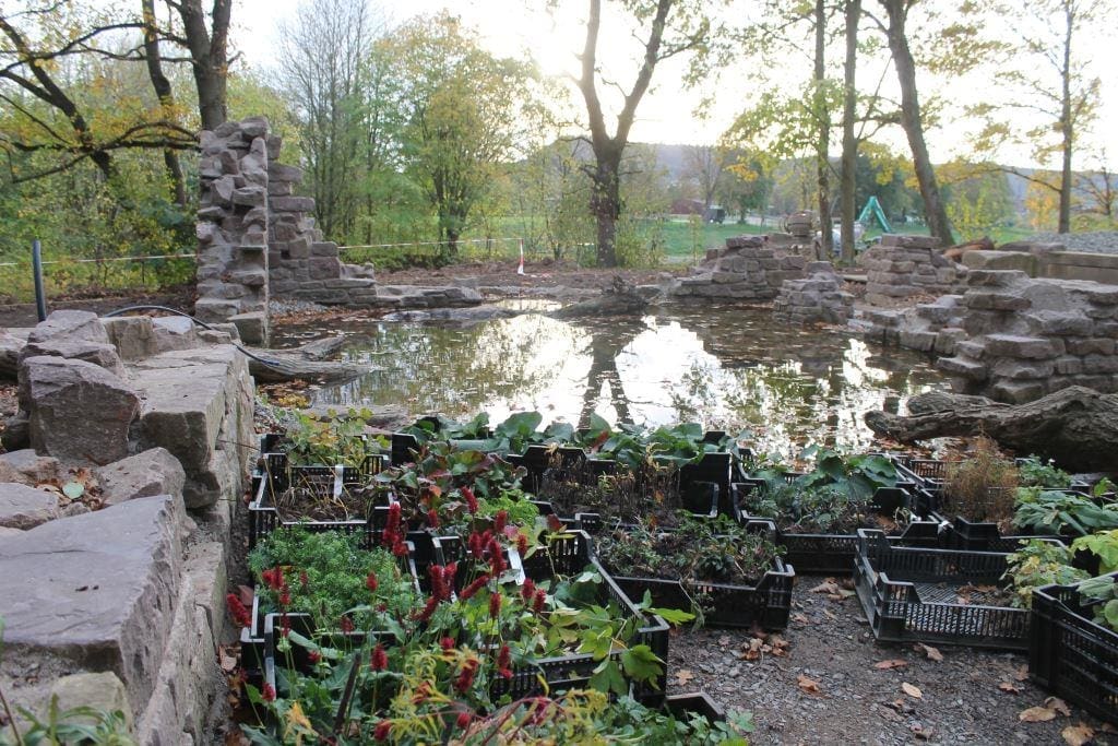 Wassergarten mit Weserblick für die Gartenschau