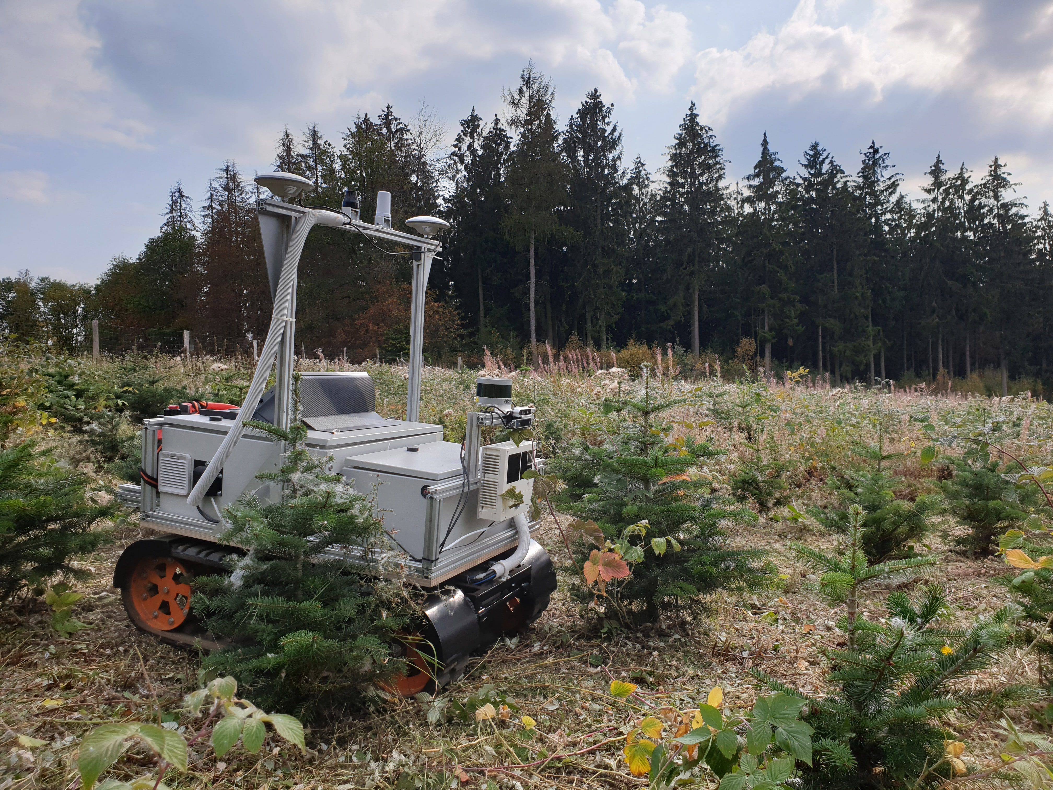 Die Universität Siegen entwickelt einen smarten Roboter, der eine umwelt- und ressourcenschonendere Aufzucht von Weihnachtsbäumen ermöglichen soll - Foto Universität Siegen