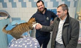 Kater Alfred besiegelt mit seiner Pfote die Kooperation zwischen Julian Behrmann stellvertretend für das Bochumer Tierheim und Meheddiz Gürle stellvertretend für die Stadtbücherei Bochum, 22.03.2023. +++ Foto: Lutz Leitmann/Stadt Bochum