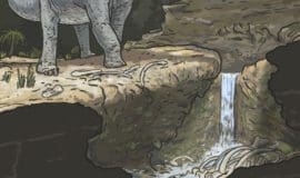 Schematische Rekonstruktion des Ablagerungsvorgangs. Die fossilen Reste der Dinosaurier (im Bild ein Langhalssaurier) haben sich bei Balve in einem Karsthöhlensystem erhalten. Hier wurden sie vor 125 Millionen Jahren eingespült und tief unter der Erdoberfläche abgelagert. Nur so konnten sie bis heute erhalten bleiben - Rekonstruktion (Ausschnitt) Joschua Knüppe, Ibbenbüren, 2022