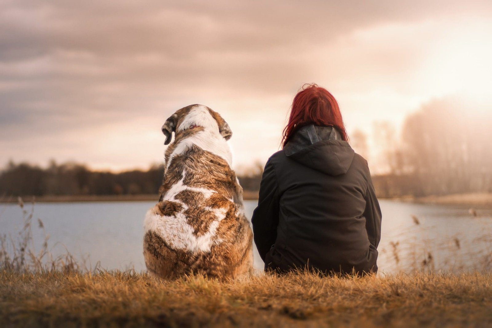 Urlaub mit Hund genießen