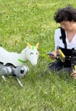 Zur Ausstellung „Happiest Places“ des Kunstvereins Siegen findet am 22. Juni um 19 Uhr eine gemeinsame Wanderung mit Künstlerin Tintin Patrone und einem Ziegenroboter statt - Foto Kunstverein Siegen