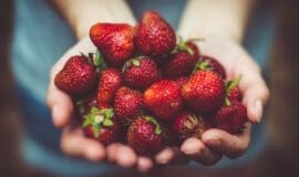 strawberries-1835934_1280