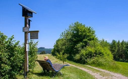 Auf dem Waldsofa an der Nordhelle kann man Gedichten über die Wolken lauschen - Foto Katerina Kuznetcowa und Alexander Edisherov