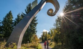 Eine gemeinsame Kunst- und Wanderattraktion in Wittgenstein und im Sauerland, der Waldskulpturenpfad - Foto Klaus-Peter Kappest