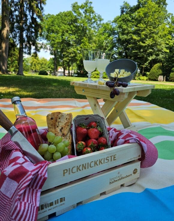 Picknick im Kurpark